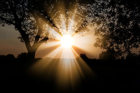 sun, dawn, nature, bright, light, sunset, illuminated, sky HD wallpaper
