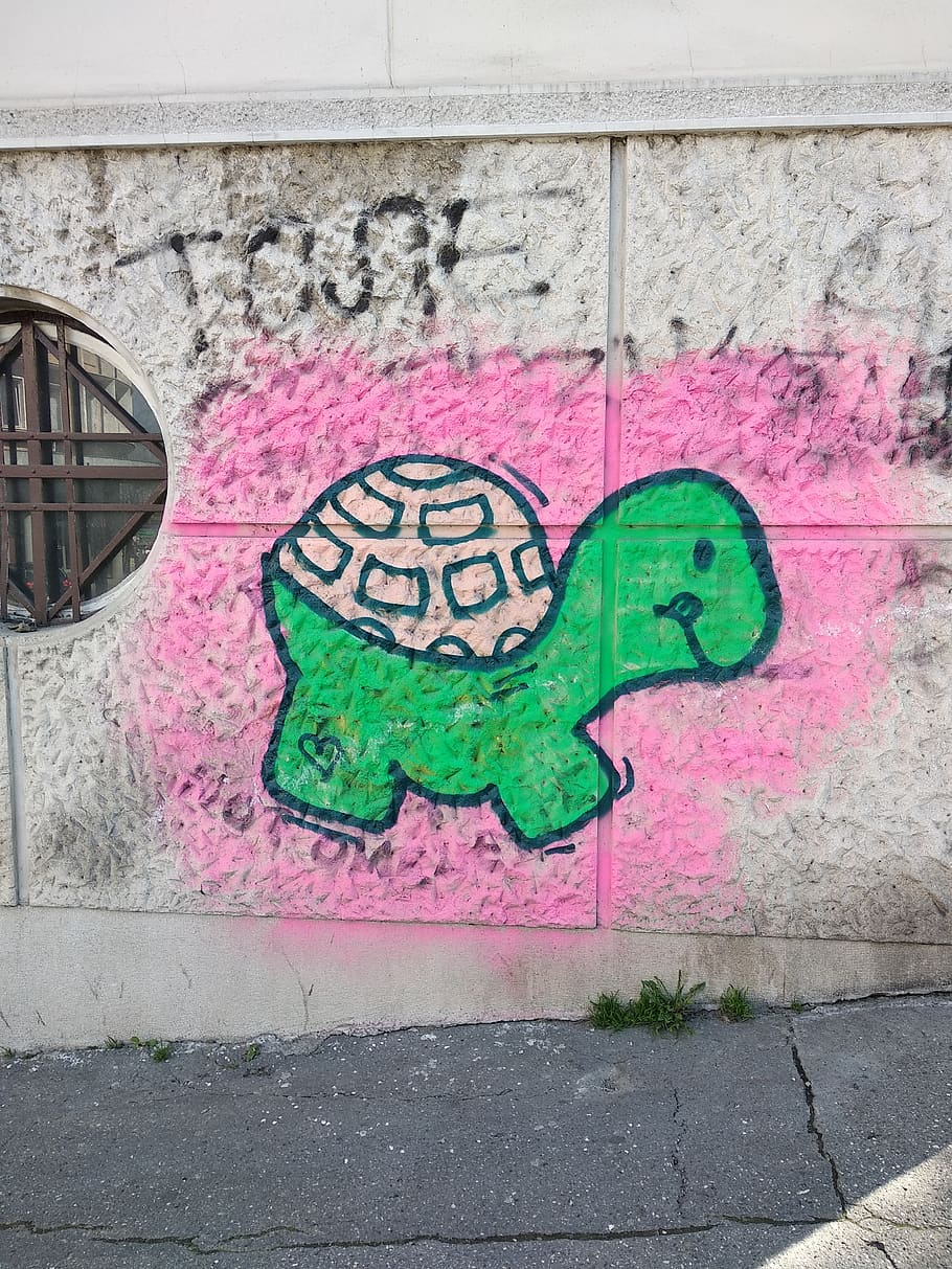 wall, graffiti, beograd, serbia, tadeuša košćuška 34, painting, HD wallpaper