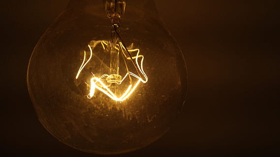 light, lightbulb, lighting, animal, arachnid, spider, invertebrate HD wallpaper
