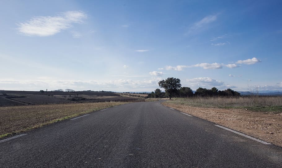 road, sky, tree, the way forward, transportation, direction HD wallpaper