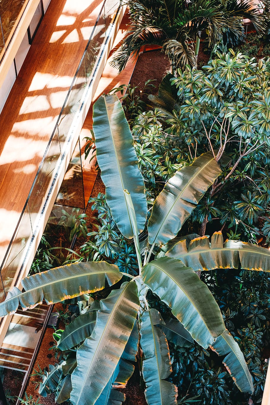 green tree, plant, growth, architecture, built structure, day HD wallpaper