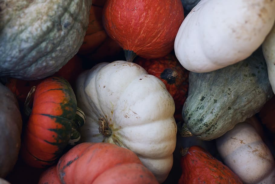 bunch of fruits, pumpkin, harvest, fall, autumn, nature, season, HD wallpaper