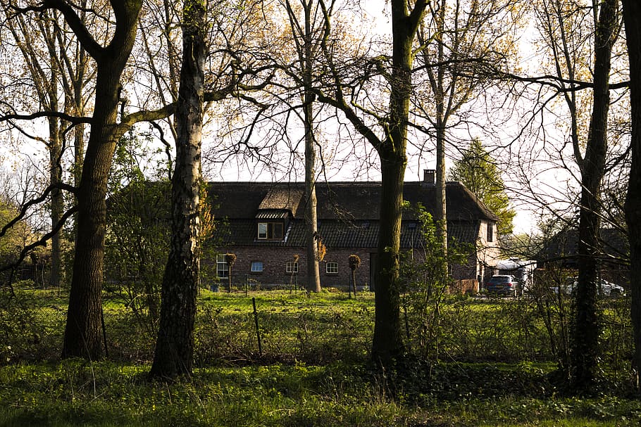 nature, outdoors, building, tree, plant, countryside, housing HD wallpaper