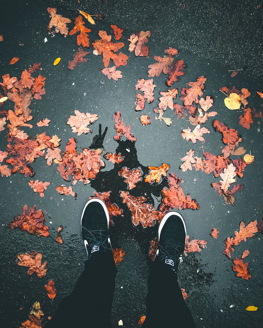 Page 2 | autumn shoes 1080P, 2K, 4K, 5K HD wallpapers free download ...