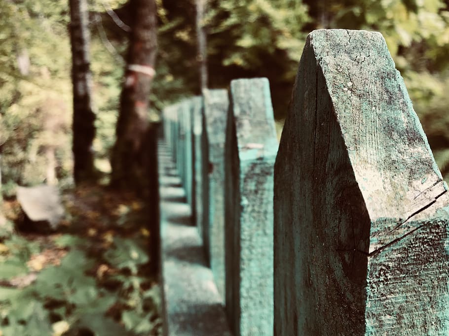 fence, nature, wild, wilderness, trees, forest, natural, adventure HD wallpaper