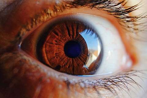 eye, macro, vision, human, iris, woman, look, pupil, female HD wallpaper