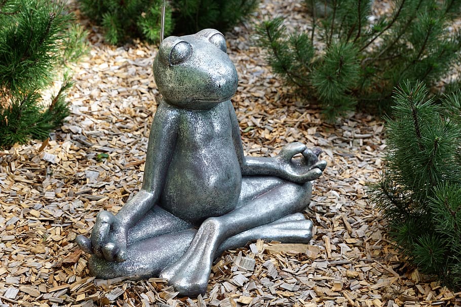 frog, rest, meditation, summer, yoga, funny, couch, cute, relaxed HD wallpaper