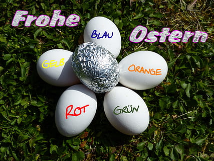 egg, easter, easter egg, easter nest, funny, artistically, ironically HD wallpaper
