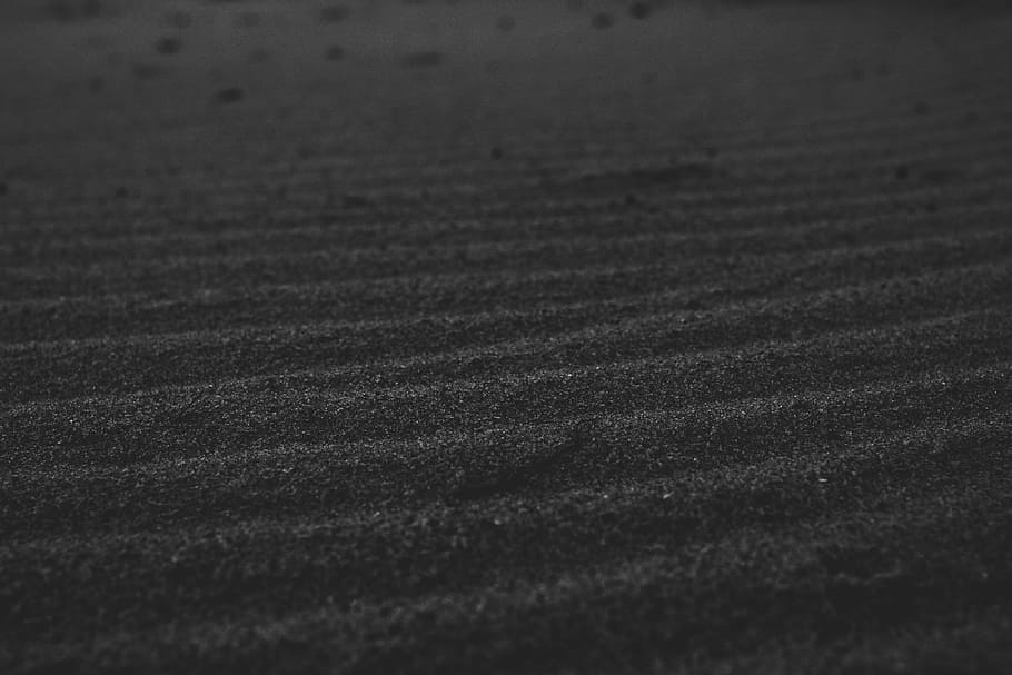 greyscale photography of land, tranquil, relaxing, beach, sand HD wallpaper