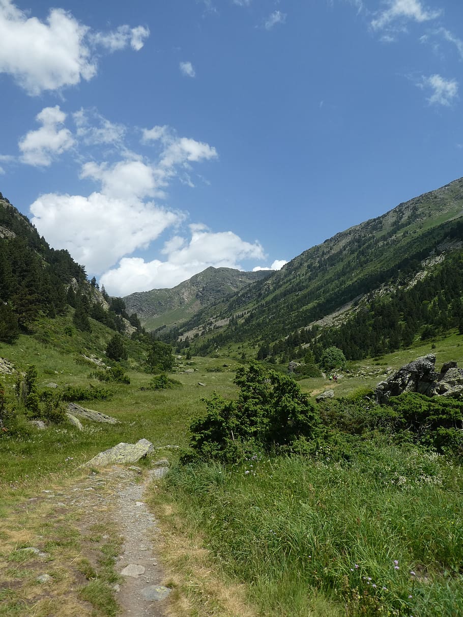 path, trees, mountain, andorra, sky, landscape, nature, environment HD wallpaper