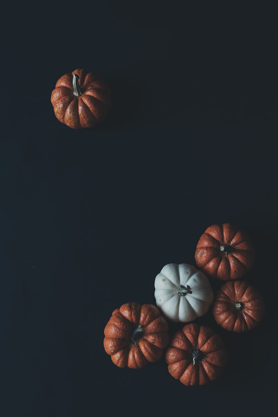 One and Five Brown Pumpkins, black background, blur, copyspace, HD wallpaper