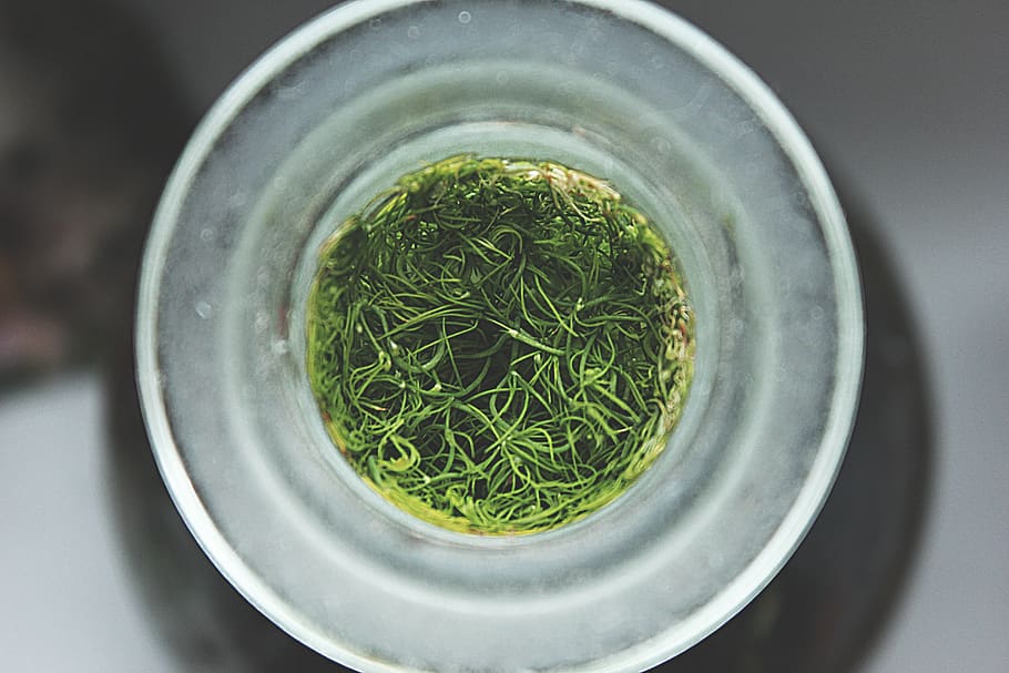 green color, food and drink, wellbeing, close-up, indoors, directly above HD wallpaper