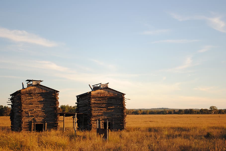australia, texas, hut, timber, field, outdoors, blue sky, country HD wallpaper