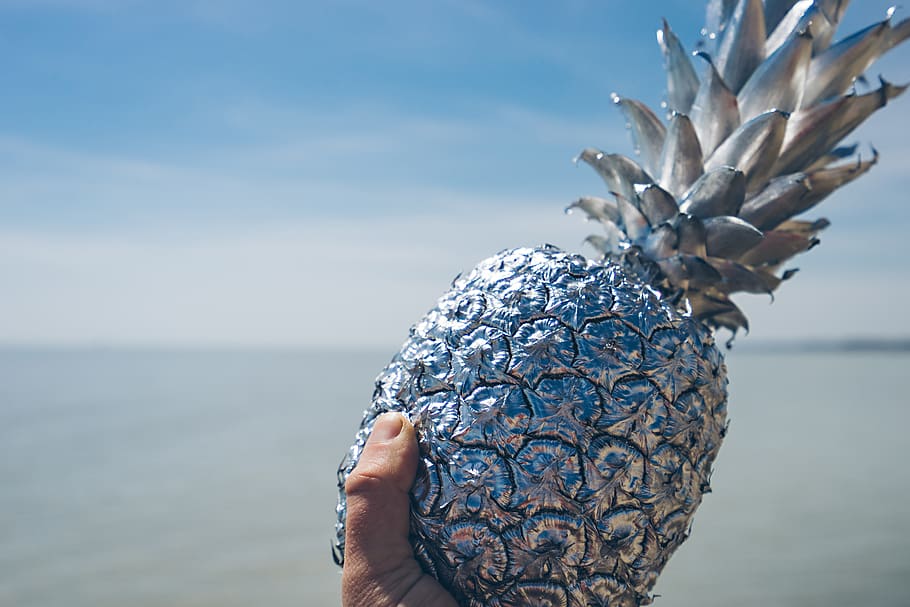 artificial silver pineapple, plant, sphere, bird, animal, canada HD wallpaper