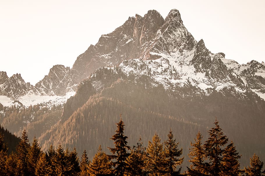mountain peak, tree, beauty in nature, scenics - nature, plant HD wallpaper