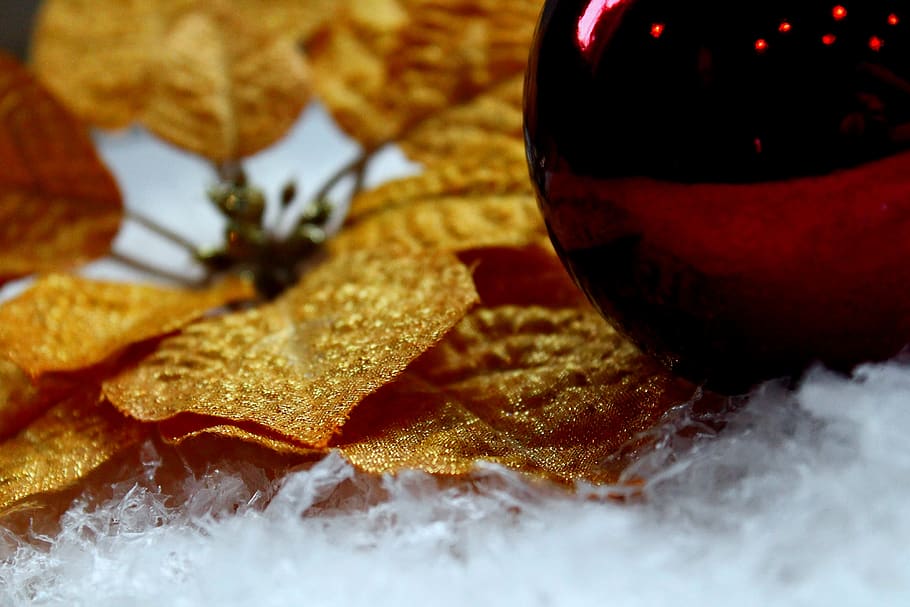 ornament, winter, snow, backround, wallpaper, decorations, holidays HD wallpaper