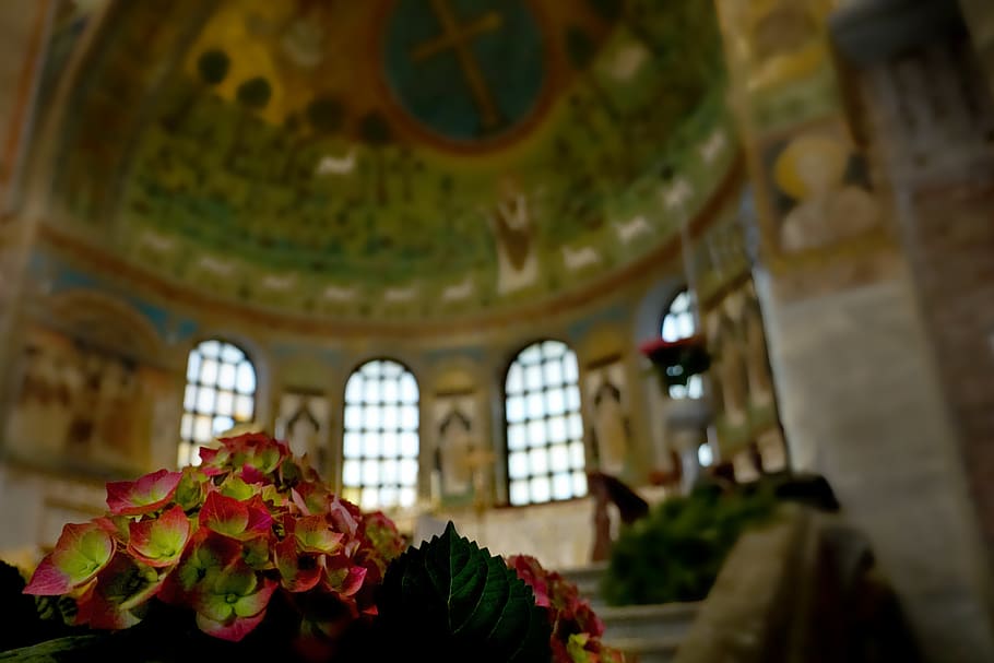 within, flower, background, travel, architecture, church, old HD wallpaper