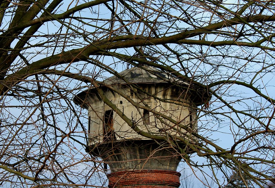 tower, architecture, old, abandoned, past, building, branches HD wallpaper
