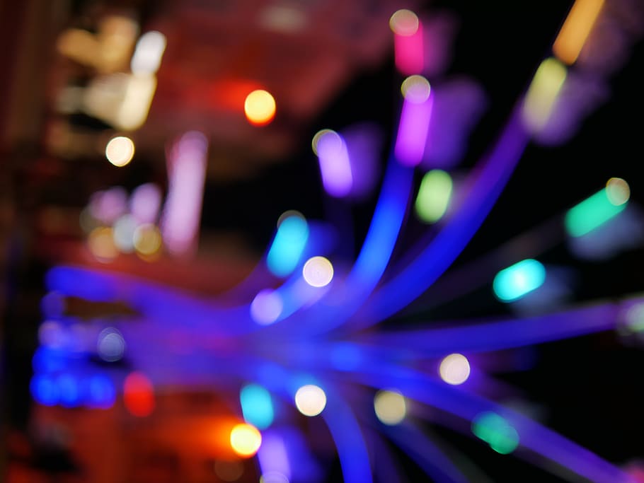 blue light, lights, christmas, christmas lights, illuminated HD wallpaper