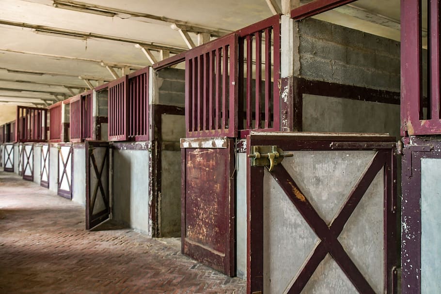 stable, box, horseback riding, interior, vacuum, indoors, architecture HD wallpaper