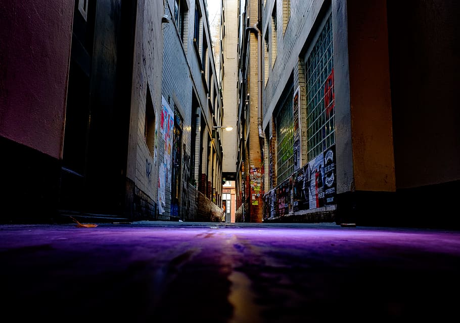 low angle photography of alley during daytimme, street, light HD wallpaper