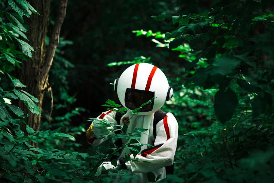 canada, montreal, nuns' island, spacesuit, spaceman, trees, HD wallpaper