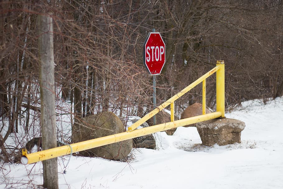 canada, blyth, gate, stop, trees, snow, winter, cold temperature HD wallpaper