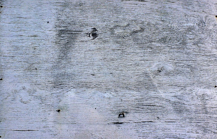 gray wooden surface, animal, bird, waterfowl, outdoors, egret HD wallpaper