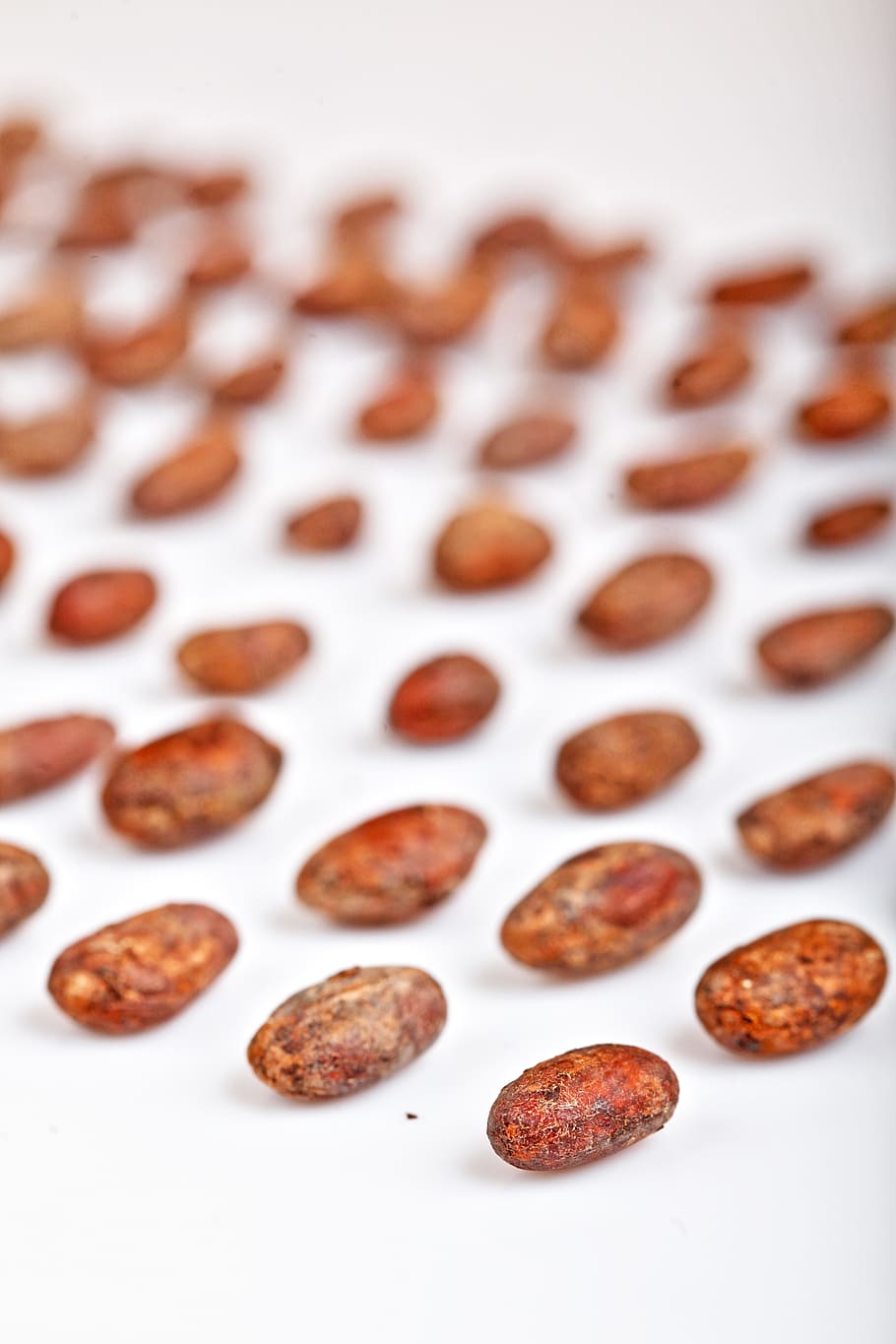 brown seeds on table, food and drink, freshness, large group of objects HD wallpaper