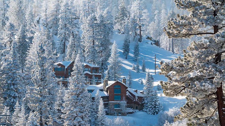 united states, south lake tahoe, heavenly mountain resort, winter