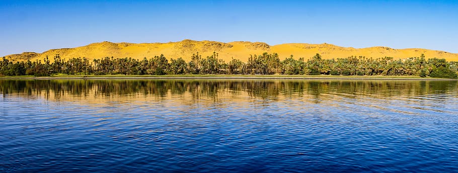 desert, river, morgenstimmung, panorama, wallpaper, palm trees HD wallpaper