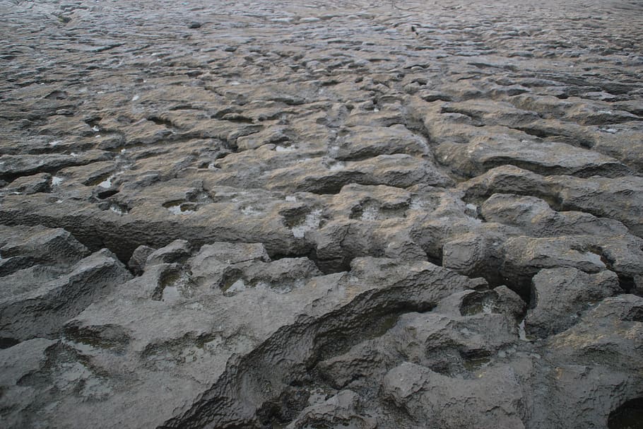 soil, ground, rock, doolin, irland, lava, limestone, mud, wood HD wallpaper