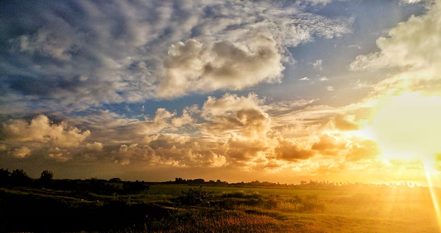Green Grass Field Under Cloudy Sky during Sunset, clouds, dusk HD wallpaper