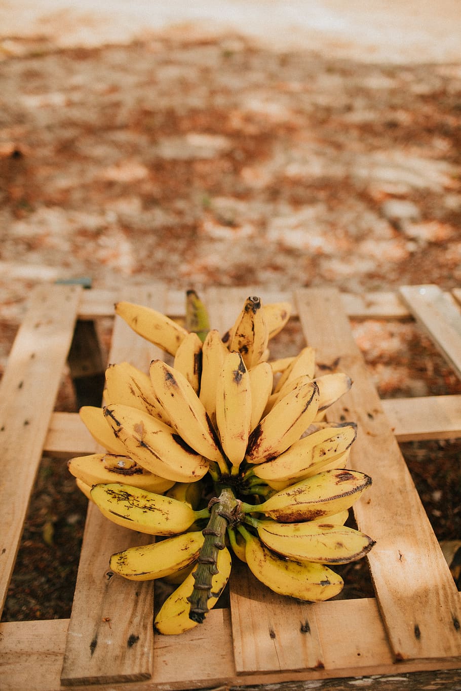 Banana Fruit , bananas, food, panama, wood - material, yellow HD wallpaper