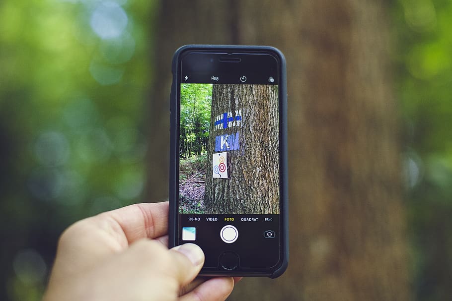 Person Taking Picture of Tree Trunk, blur, camera, capture, capturing HD wallpaper