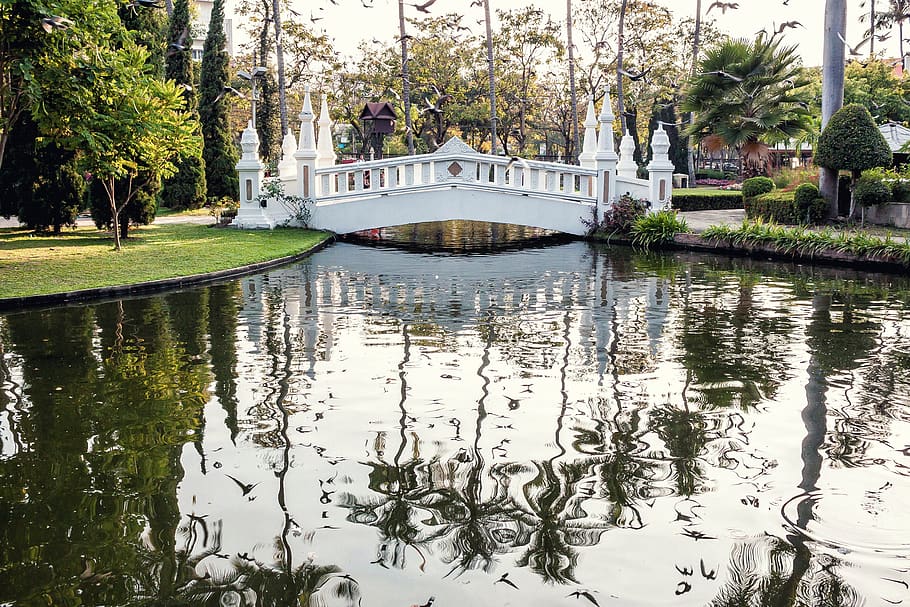 bridge, lake, park, water, reflect, palm, asia, tree, reflection HD wallpaper