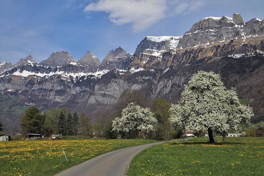 spring, mountains, way, snowy, view, alpine, flums, mood, the silence HD wallpaper