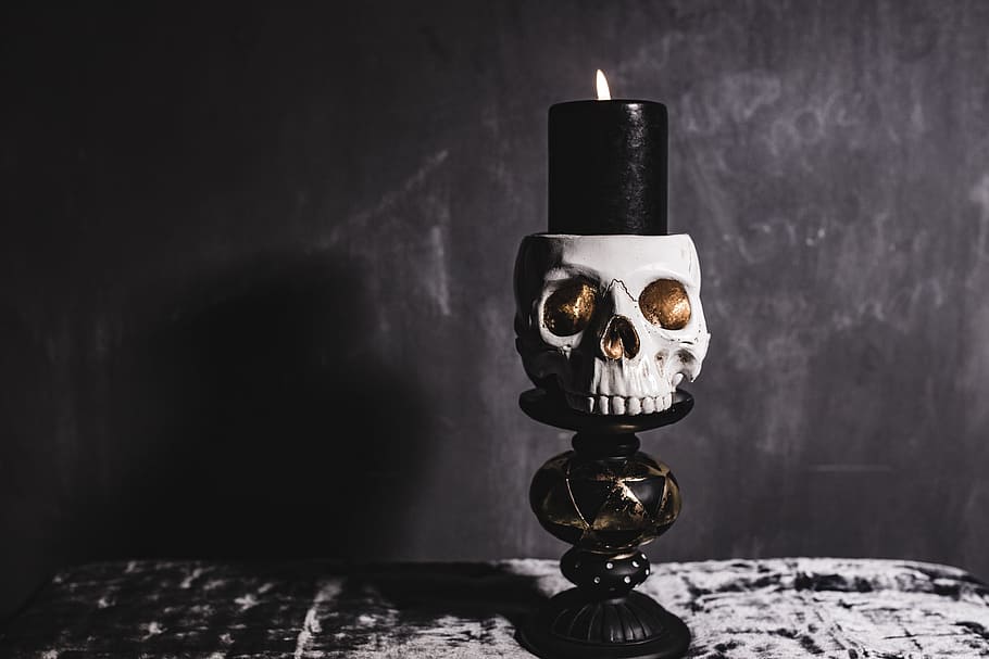 Halloween Skulls Decorations, autumn, fall, spooky, scary, indoors, HD wallpaper