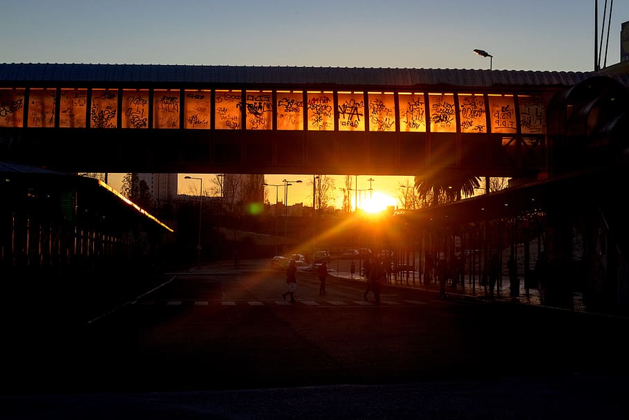 flare, light, person, human, sunlight, campo grande, portugal HD wallpaper