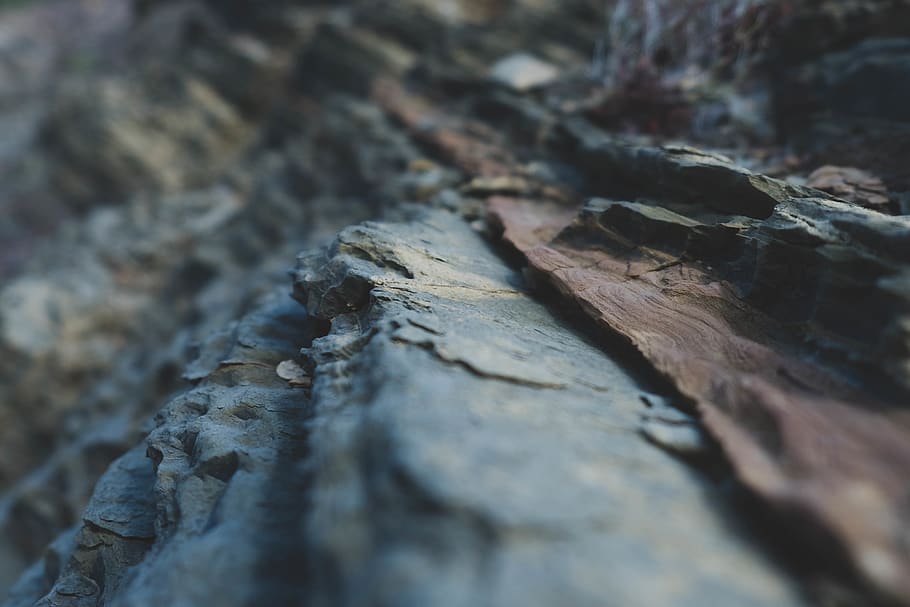 spain, minorca, rock, closeup, wallpaper, texture, selective focus HD wallpaper
