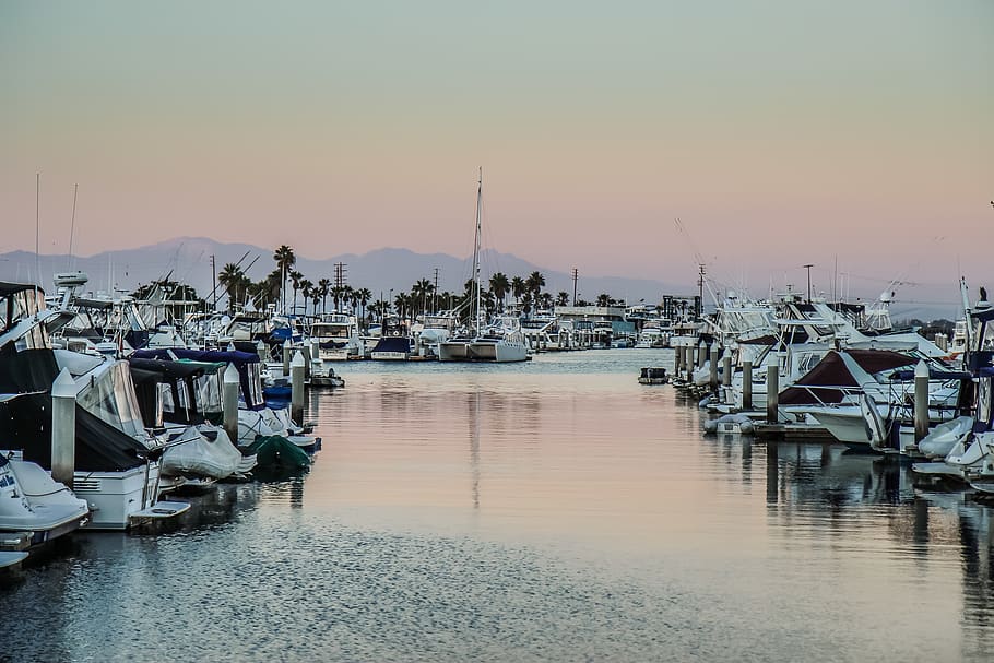 White Boat Lot on Bodies of Water Photo, bay, boats, dock, docked HD wallpaper