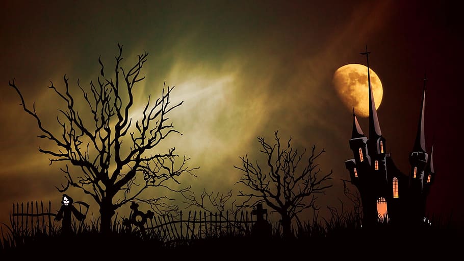 castle, portrait, black, building, haunted, night, silhouette HD wallpaper
