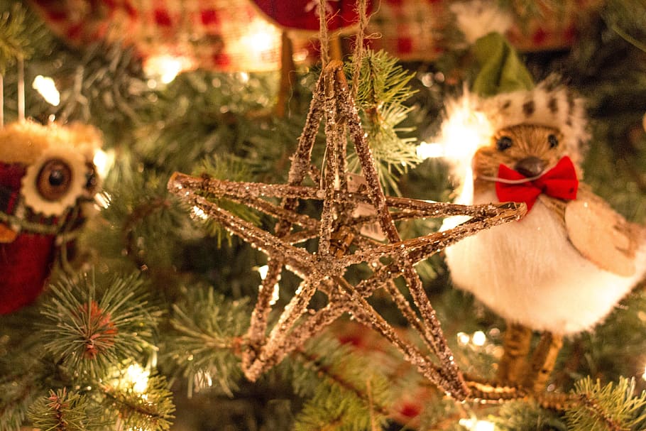 christmas, ornament, tree, lights, star, holiday, christmas decoration HD wallpaper