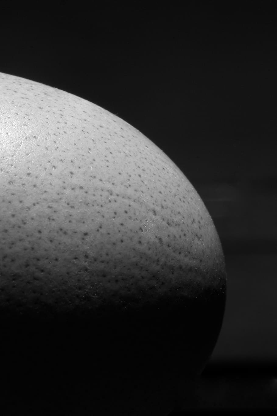 egg, macro, detail, texture, curve, bandw, indoors, food, close-up HD wallpaper