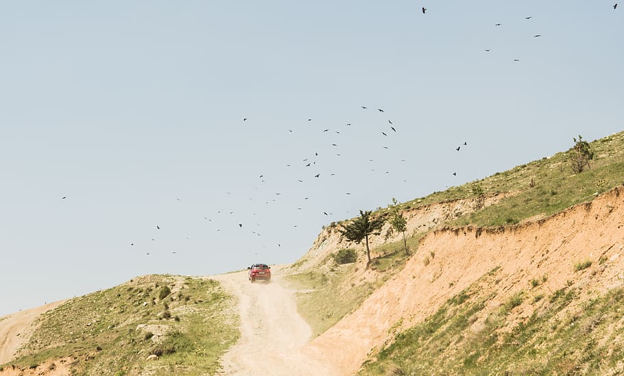iran, tehran, evin, offroad, mountain, green, outdoor, crows HD wallpaper