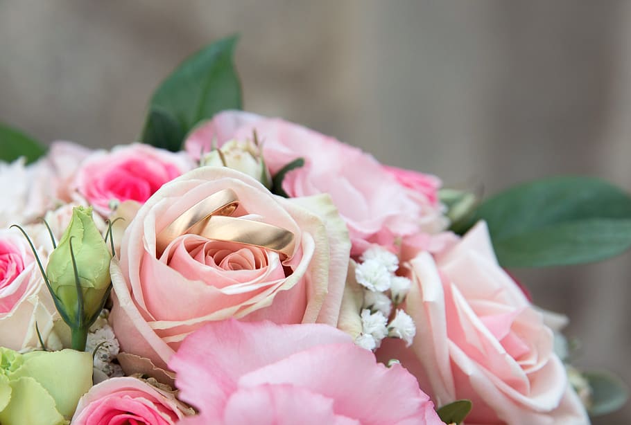 wedding, rings, marry, gold, jewellery, two, before, wedding rings HD wallpaper