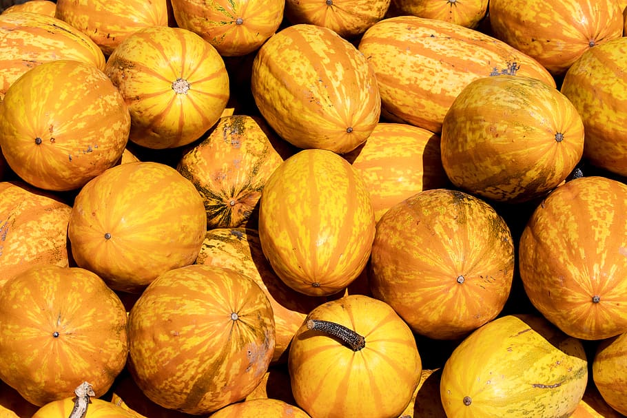 pumpkins, yellow, orange, autumn, harvest, agriculture, farmer's market HD wallpaper