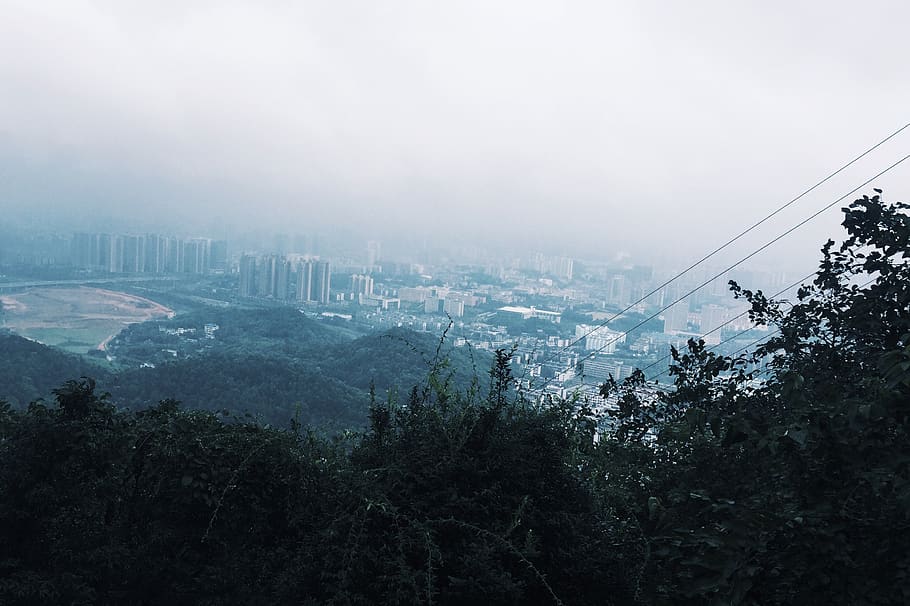 china, changsha, tree, plant, sky, architecture, fog, built structure HD wallpaper