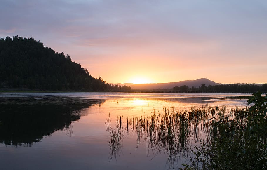 idaho, united states, tree, pnw, explore, adventure, sunset, HD wallpaper