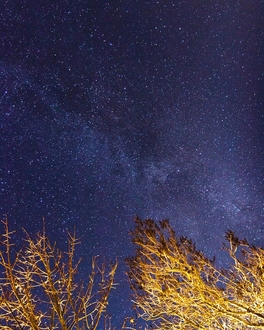 denmark, jægerspris, englodden 10, star - space, sky, astronomy HD wallpaper